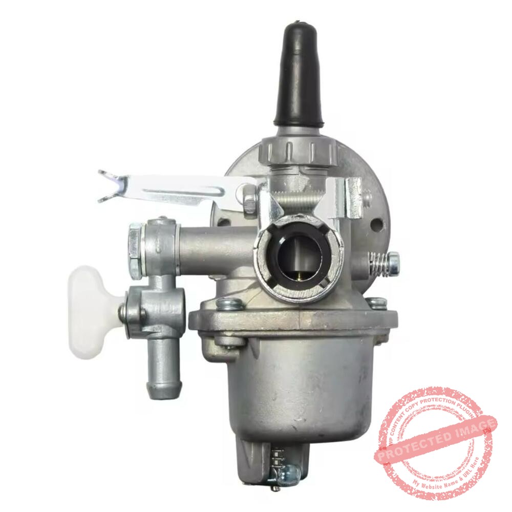 IMG-20250320-WA0384 Карбуратор за моторна пръскачка - Image 1